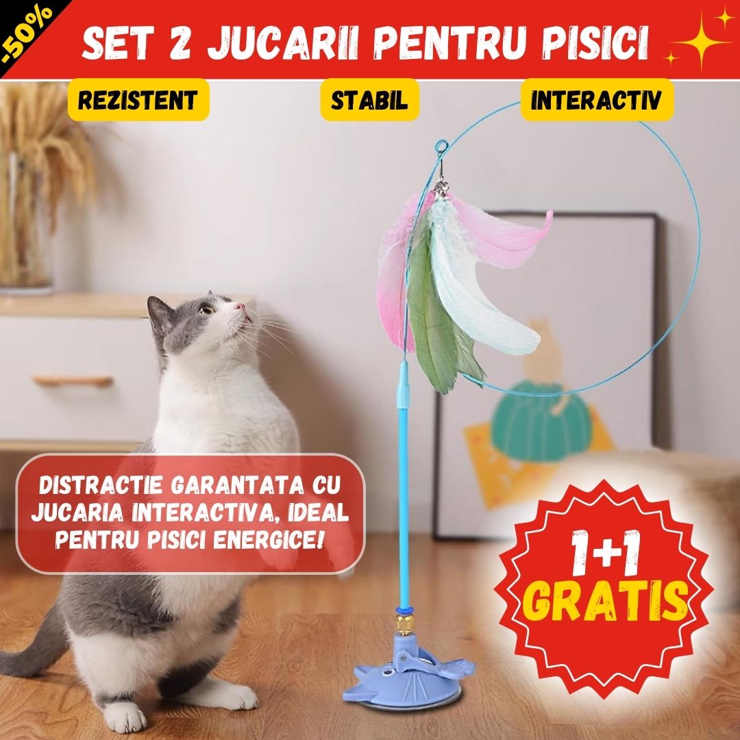 1+1 GRATIS JUCARIA MAGICA PENTRU PISICI