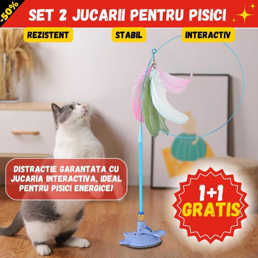 1+1 GRATIS JUCARIA MAGICA PENTRU PISICI