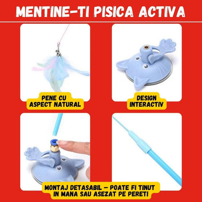 1+1 GRATIS JUCARIA MAGICA PENTRU PISICI