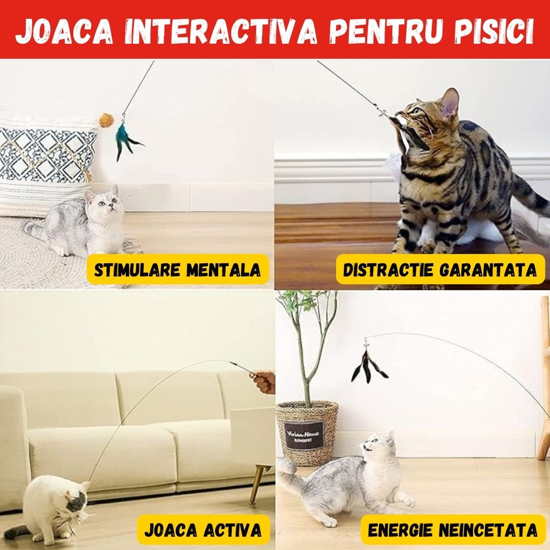 1+1 GRATIS JUCARIA MAGICA PENTRU PISICI