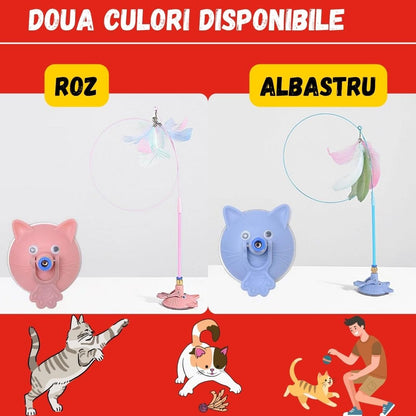 1+1 GRATIS JUCARIA MAGICA PENTRU PISICI