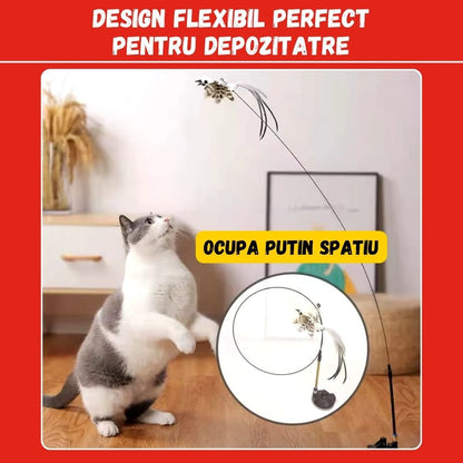 1+1 GRATIS JUCARIA MAGICA PENTRU PISICI