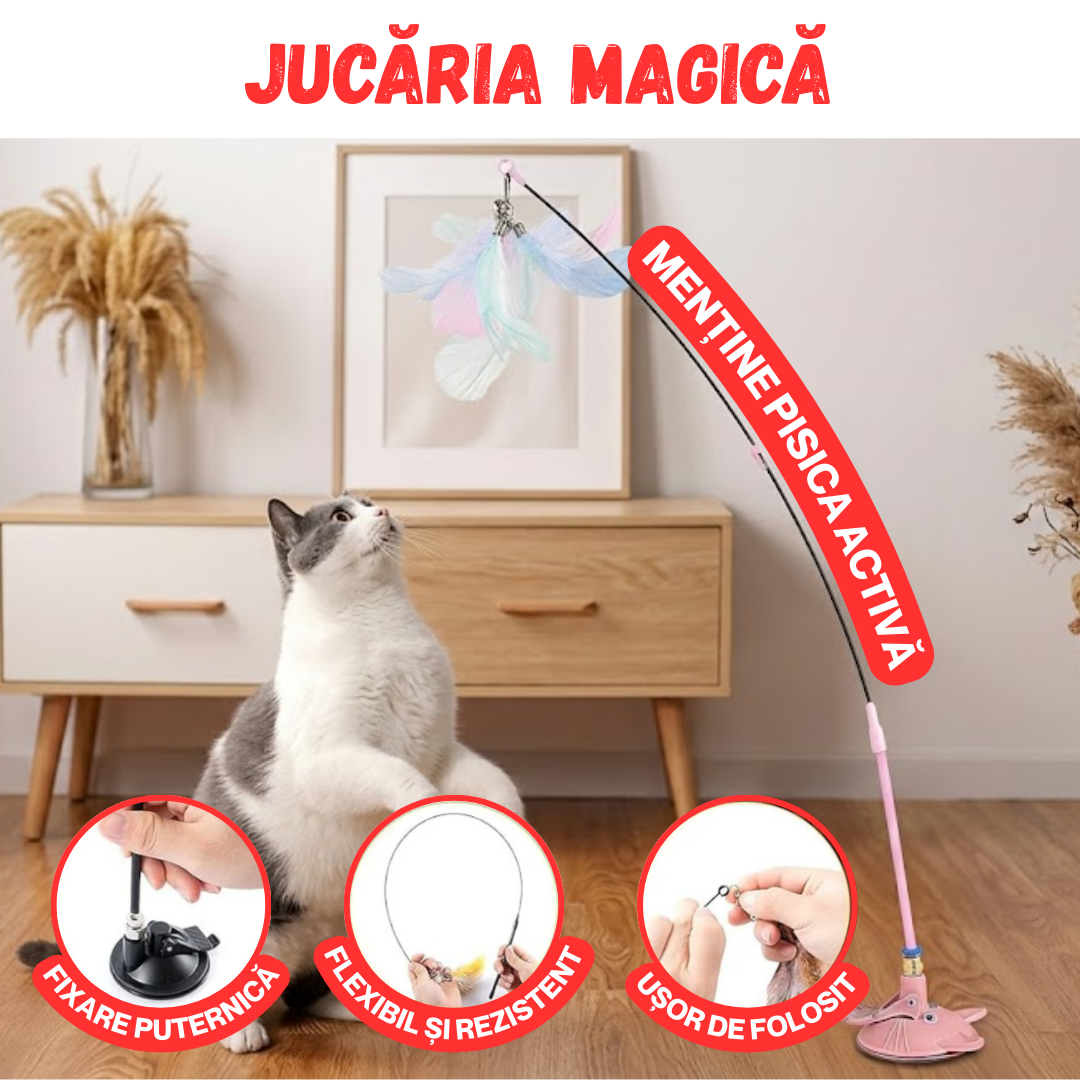 PACHET SPECIAL PENTRU ANIMALUTE