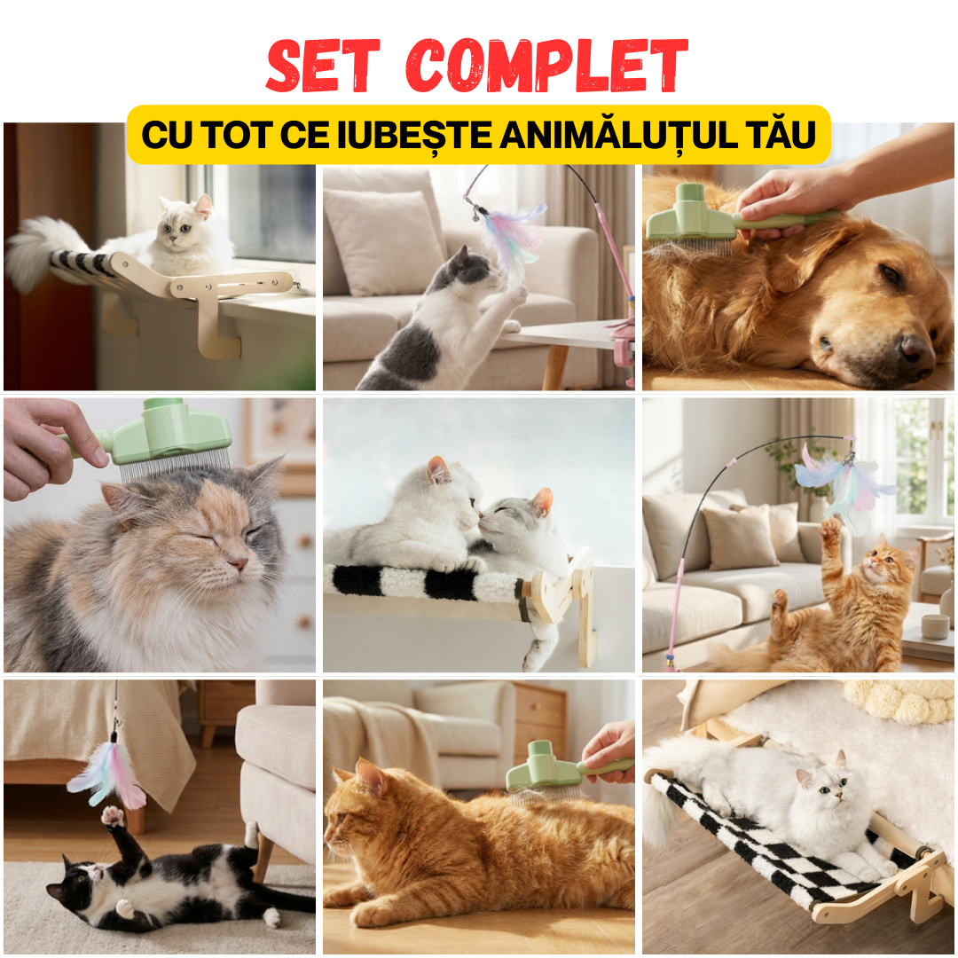 PACHET SPECIAL PENTRU ANIMALUTE