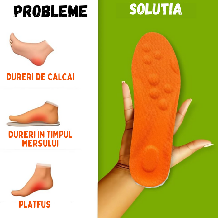 TALPICI MAGICI