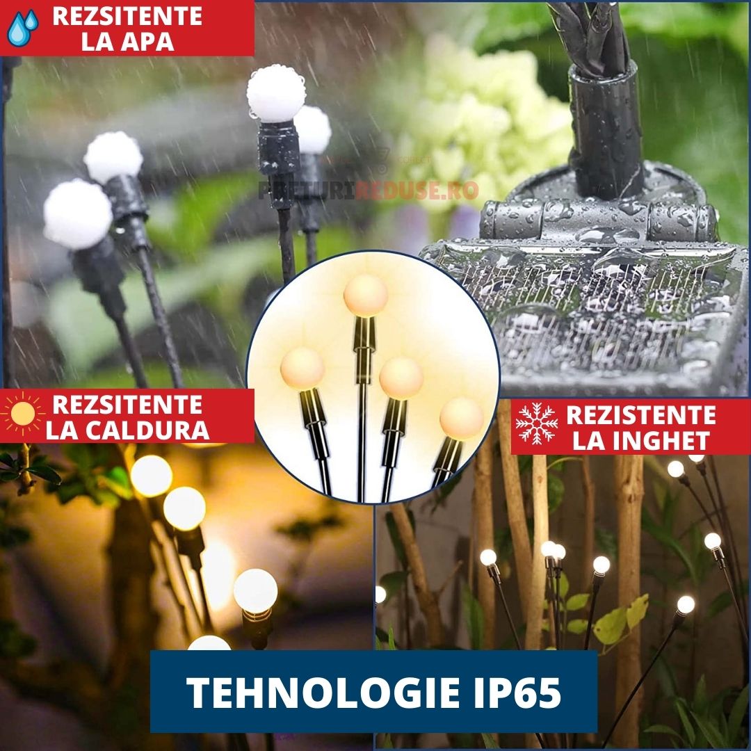 SET 2 DECORATIUNI SOLARE