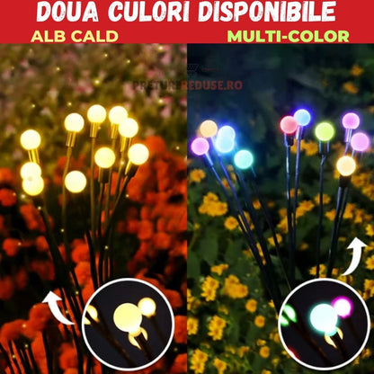 SET 2 DECORATIUNI SOLARE