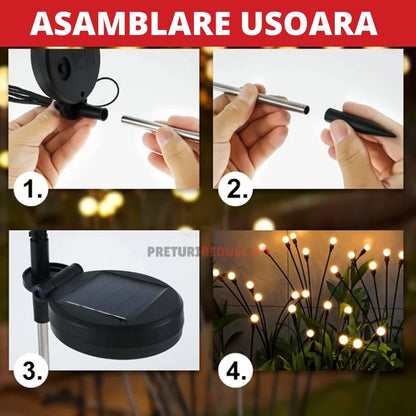 SET 2 DECORATIUNI SOLARE