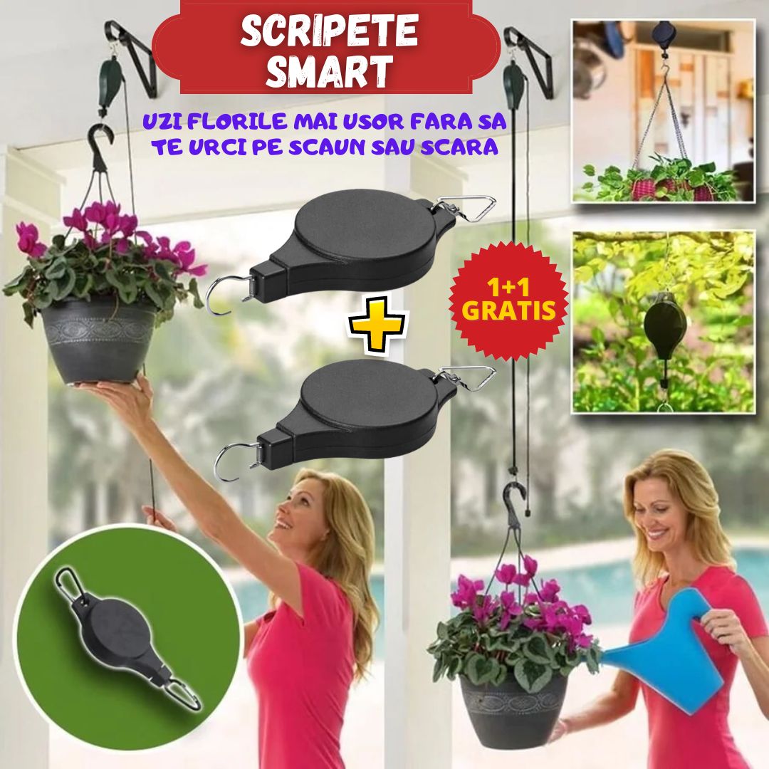 SET 2 SCRIPETI SMART