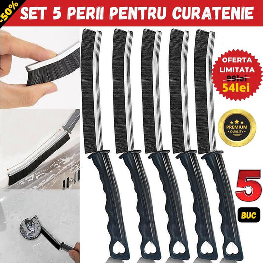 SET 5 PERII PENTRU CURATENIE